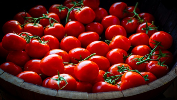 fresh ingredients tomatoes-ainaskitchen